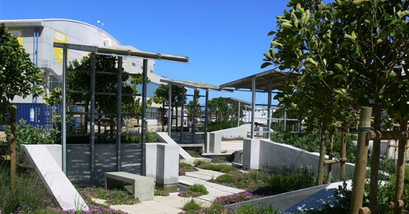 hard and soft landscaping at Cape Town Film Studios