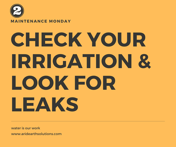 Irrigation System Maintenance- leaks
