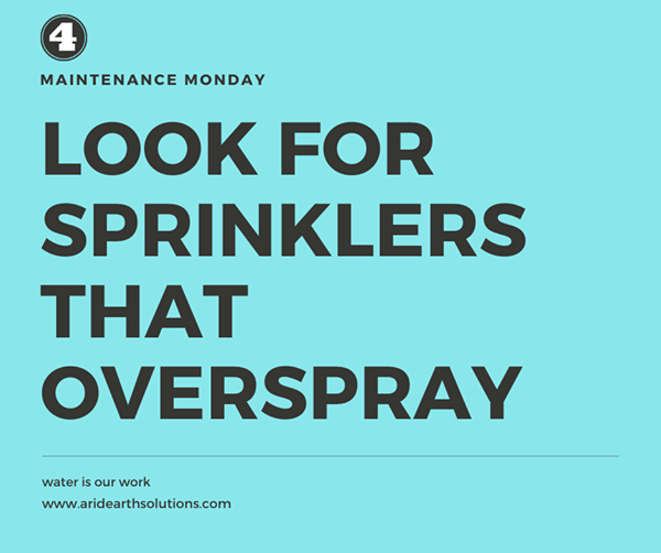 Check for sprinkler overspray poster