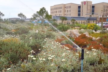 irrigation system spraying water at Mitchells Plain Hospital